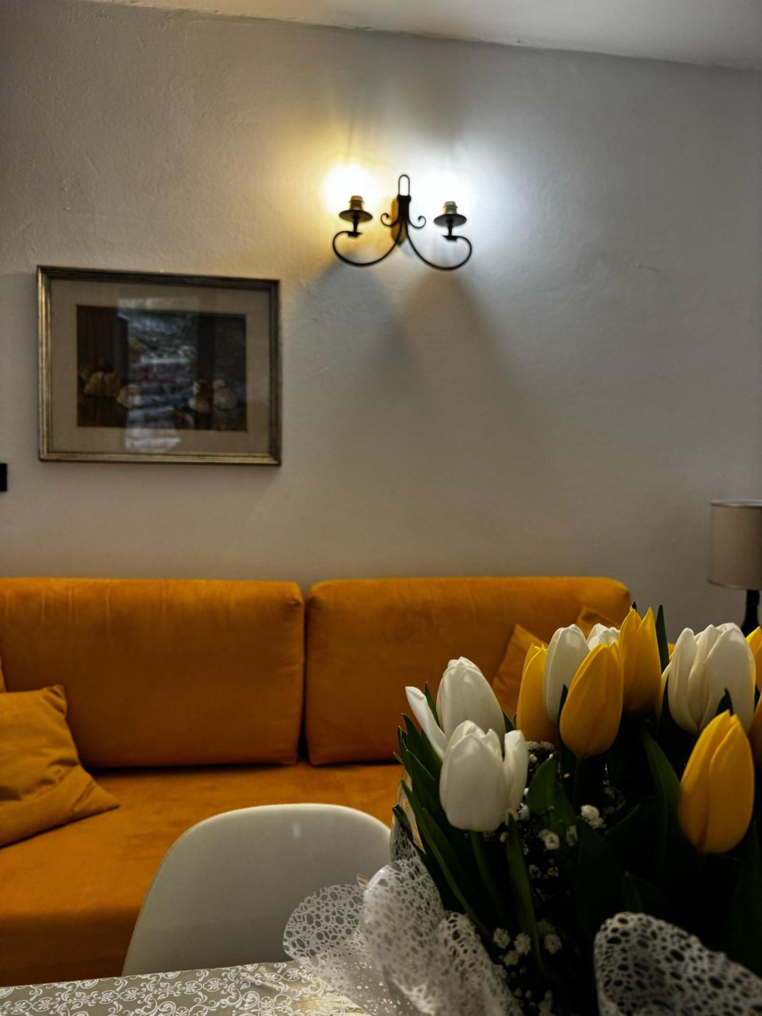 Wonderful Lake View Apartments With Pool With Breakfast Gardasee 토리델베나코 외부 사진